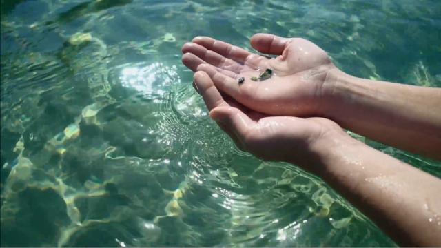 Still7 (1)